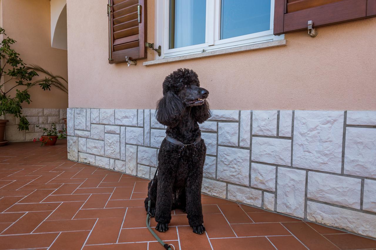 Rona Apartments Ani Ičići Exteriér fotografie